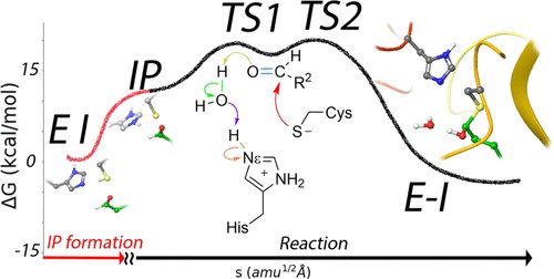 The 3CL protease of SARS-CoV-2 is an attractive drug target. <a href="/InakiTunon/">Iñaki Tuñón</a> <a href="/CarlosRTNT/">Carlos Ramos</a> <a href="/JavierR55880955/">Javier Ruiz</a> ran multiscale simulations to unveil the binding mode of cysteine protease  <a href="/UV_EG/">Universitat València</a> @FacQuimicaUVEG  <a href="/SI_UVEG/">Servei d'Informàtica - UNIVERSITAT DE VALÈNCIA</a> <a href="/BSC_CNS/">BSC-CNS</a> 

Check it out! #ACSEditorsChoice
pubs.acs.org/doi/10.1021/ac…