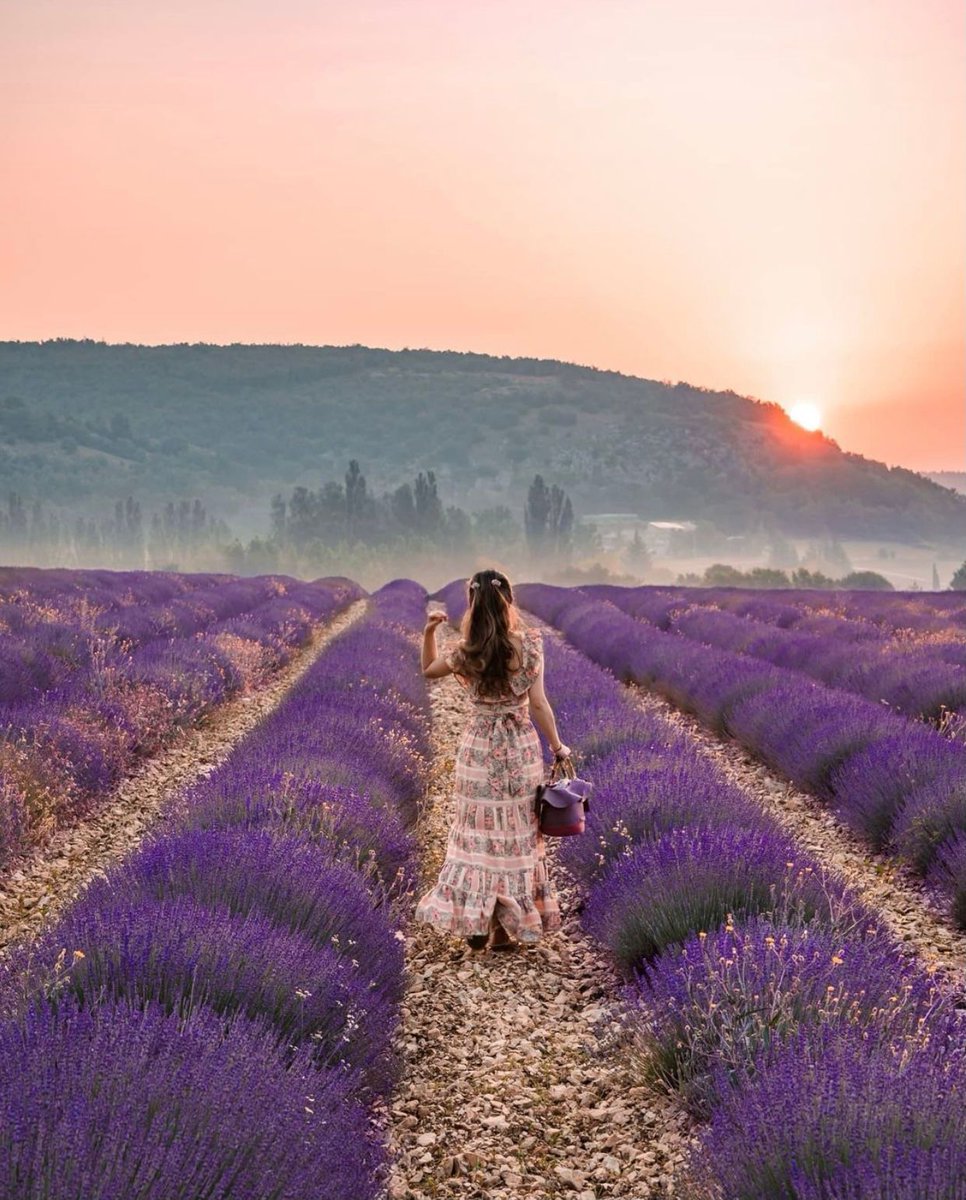 earthvsco's tweet photo. take me to France 💜🇫🇷 https://t.co/TcWBathaeM