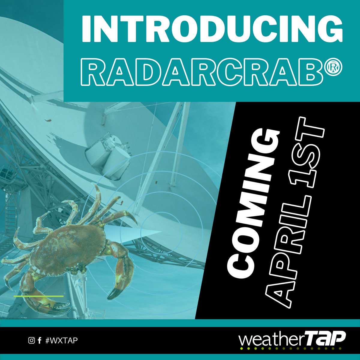 weatherTAP's tweet photo. Our most exciting product yet! 🌦 #wxtap #radarlab 🦀 https://t.co/wHkzh0ZyzT