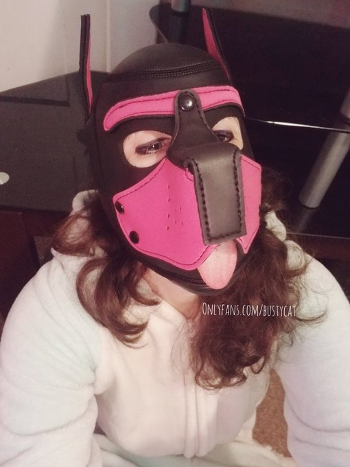2 pic. Human pup onsie girl egirl egg internet girlfriend online camshow live bdsm puphood mask leather
