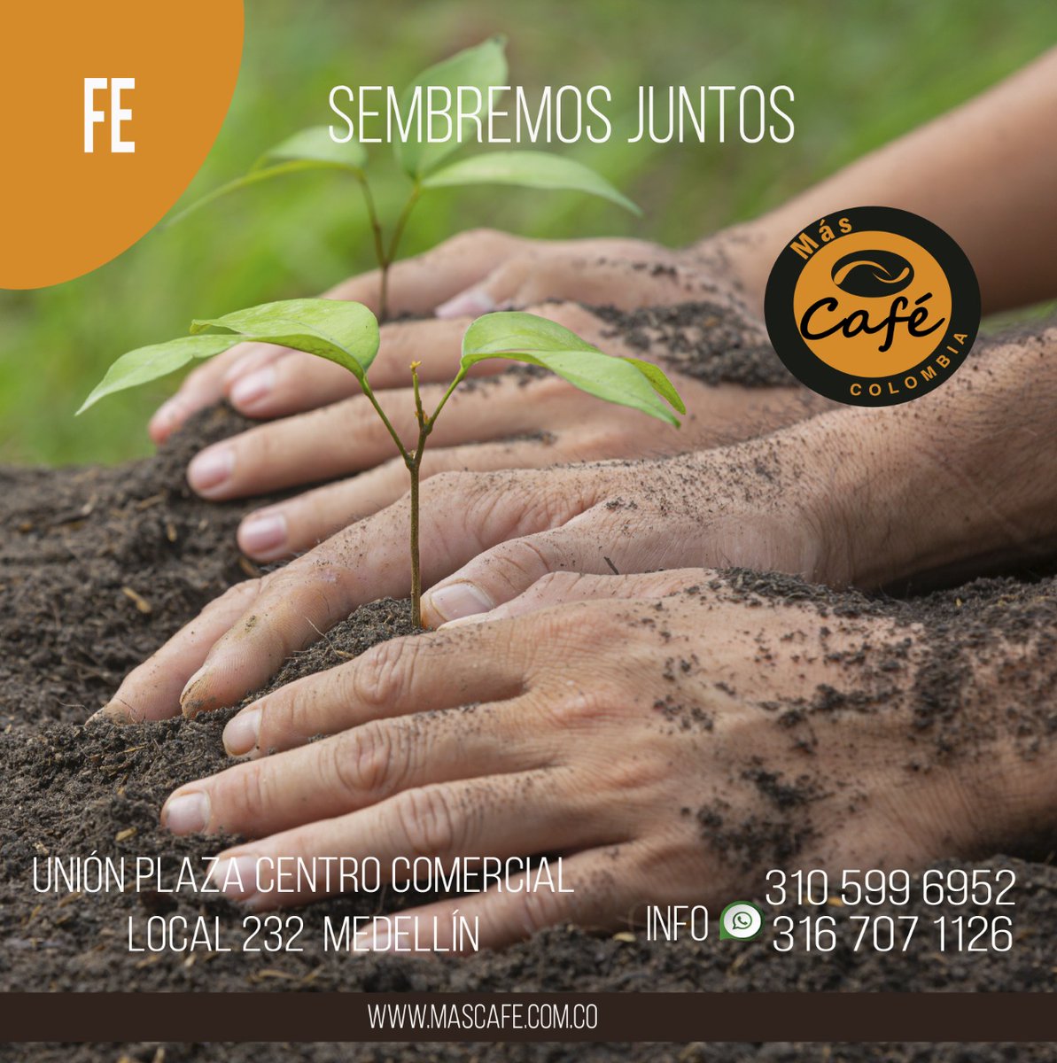 MASCAFE (@mascafejerico) on Twitter photo 