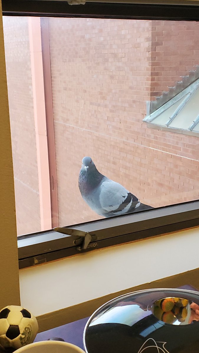 CDG Engineers, Inc. tweet media