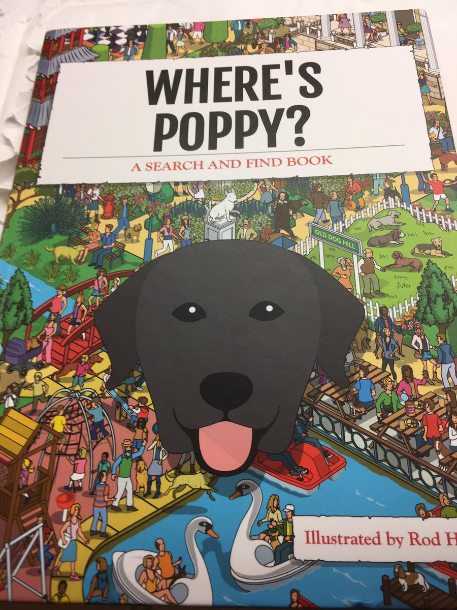 Poppysworld4711's tweet image. Furpals!!!
OMD!
Look what my Hoomaw’s friend has sent us 😍🐶💕🐾 #hoursoffun