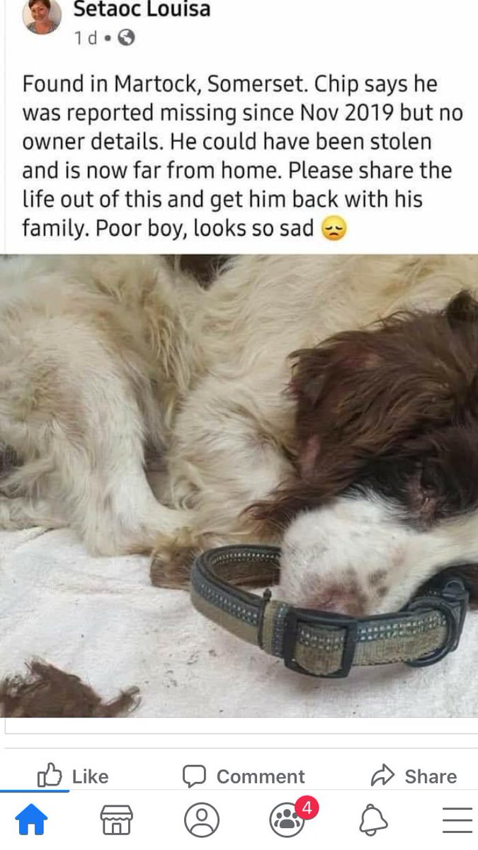 dianamahon's tweet photo. This is heartbreaking , please share if you can @BrendaBlethyn @JaneFallon https://t.co/ztEpki5llg
