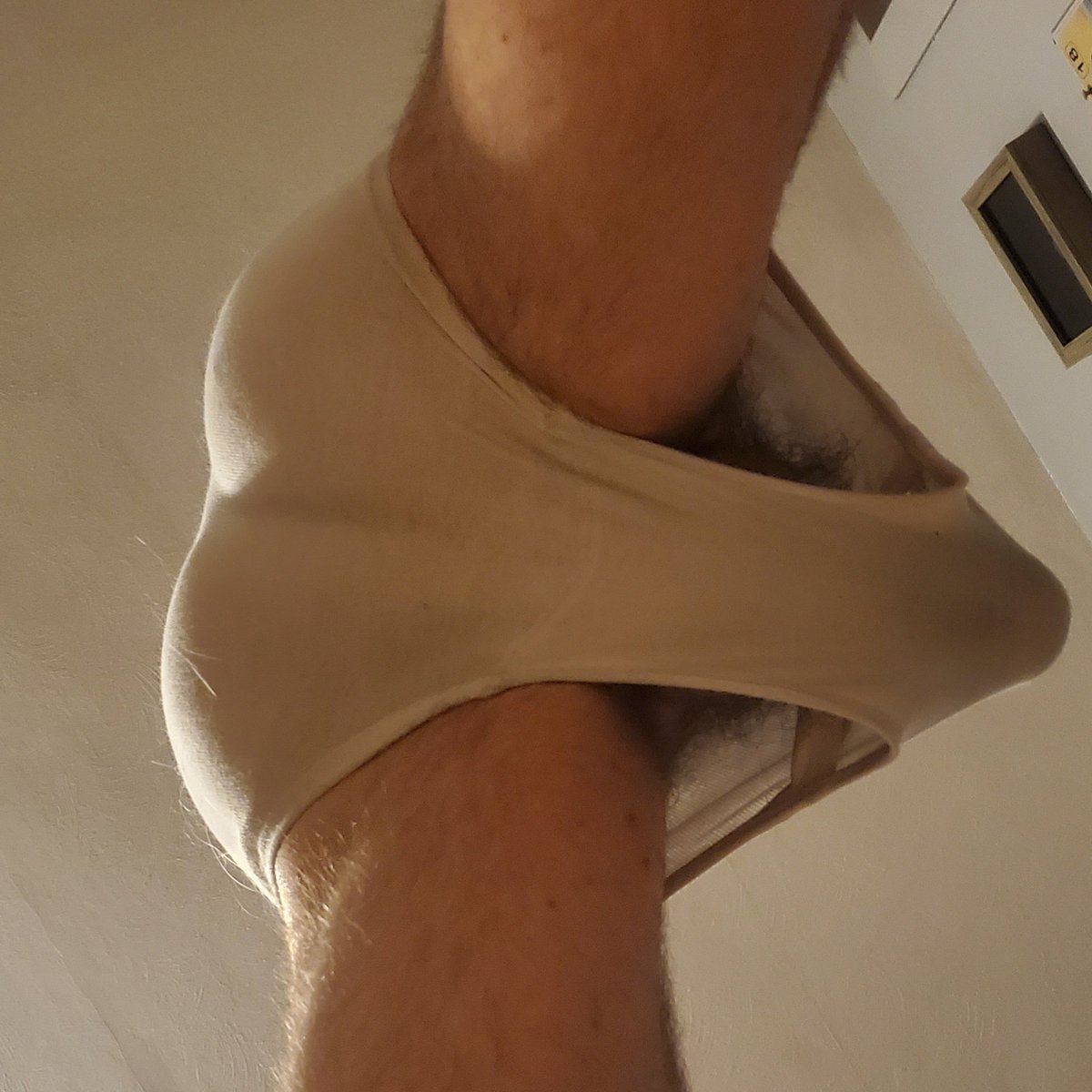 BeastInBriefs's tweet photo. Who wants to get under me? https://t.co/leY40wN9TY