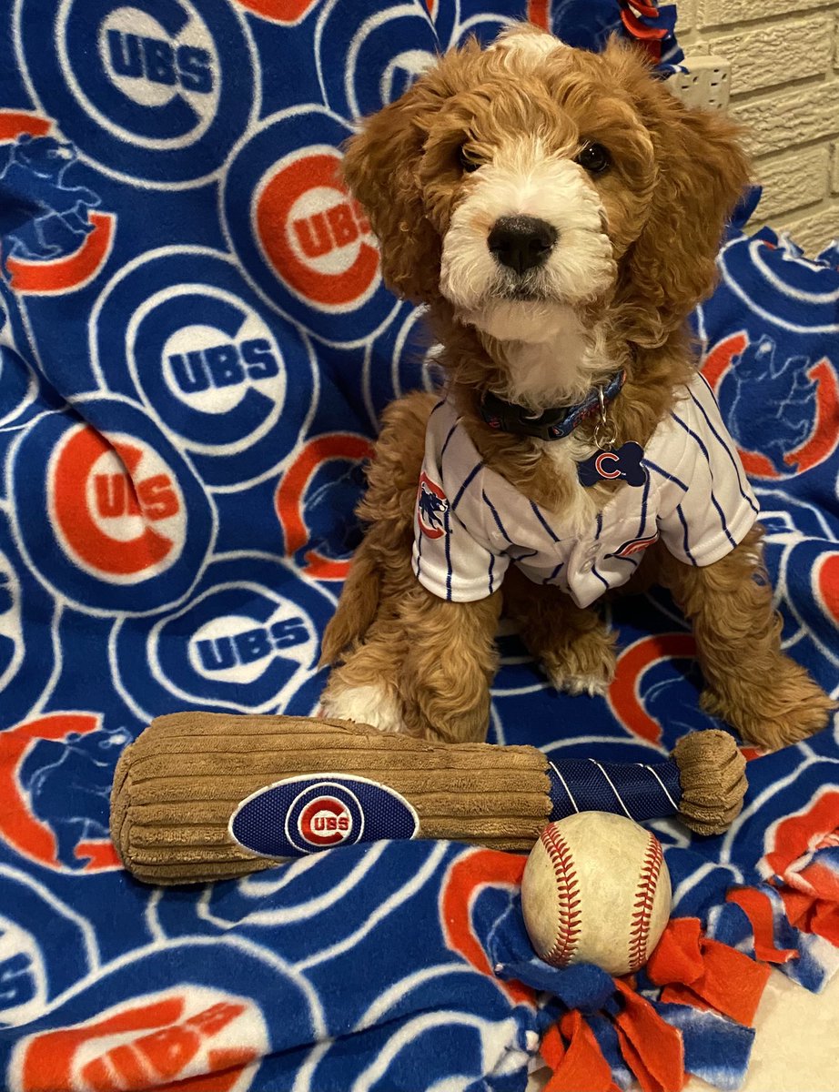 jenjohn09's tweet photo. @Cubs https://t.co/bV7q6IV0JA