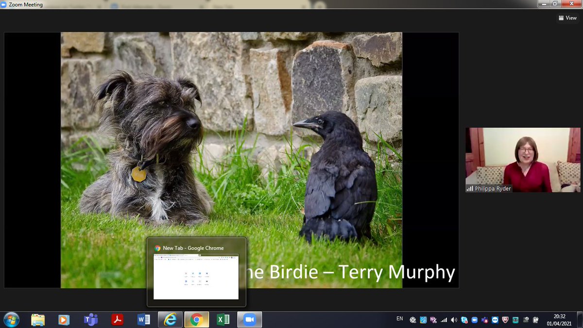 Love this photo, winner of this evenings Professional category in the <a href="/UnderTheRainb12/">UnderTheRainbow</a>  Diversity Photo Competition #photo