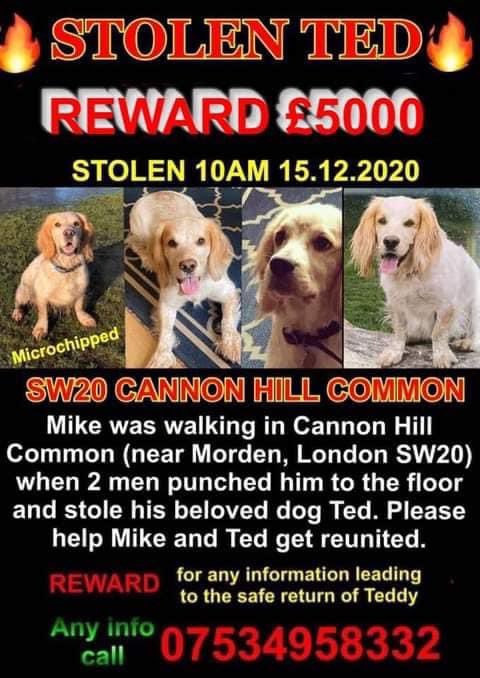 Ted is still not home, please RT to help bring Ted home #bringtedhome @Redknapp