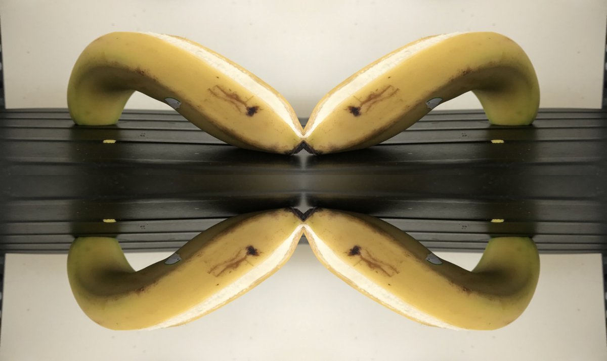 khalid95s's tweet photo. a new source of energy, the infinity banana https://t.co/7RF1WN2ro9