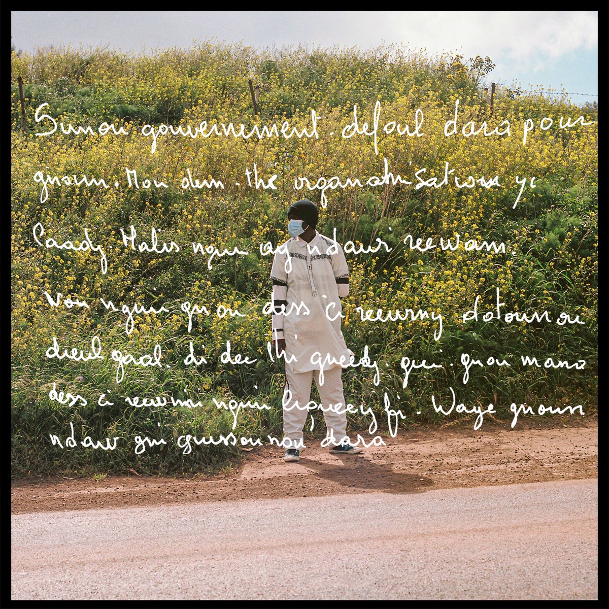 Joan Mateu Parra tweet media