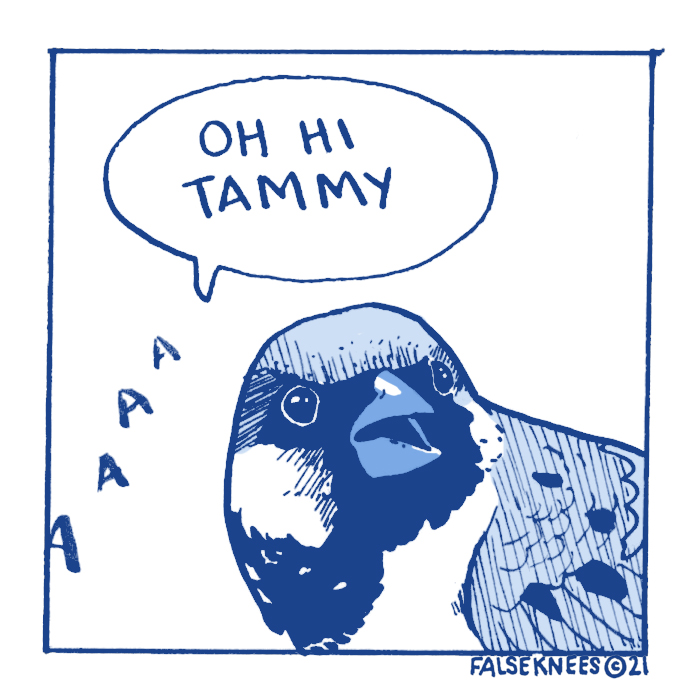 #iarmthefool 
