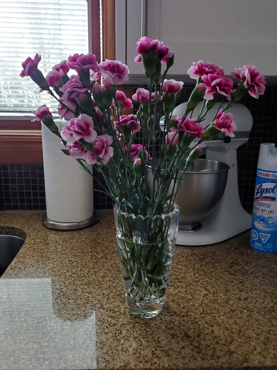SarahFirth1981's tweet photo. I work with the best people at CECI...thank you for the flowers to make my days in quarantine brighter! https://t.co/1F1deqdXZ2