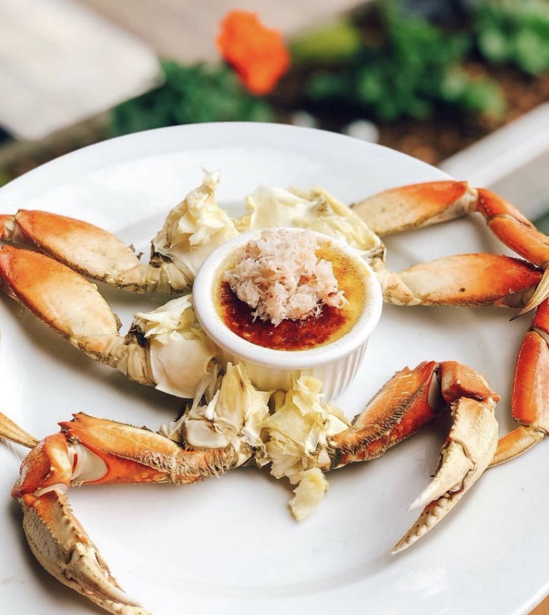 PierMarket's tweet photo. Introducing: “Crab Brulée” 🦀 a sweet and savory combination to please your seafood and dessert cravings #piermarket https://t.co/3h9aXGrT3r