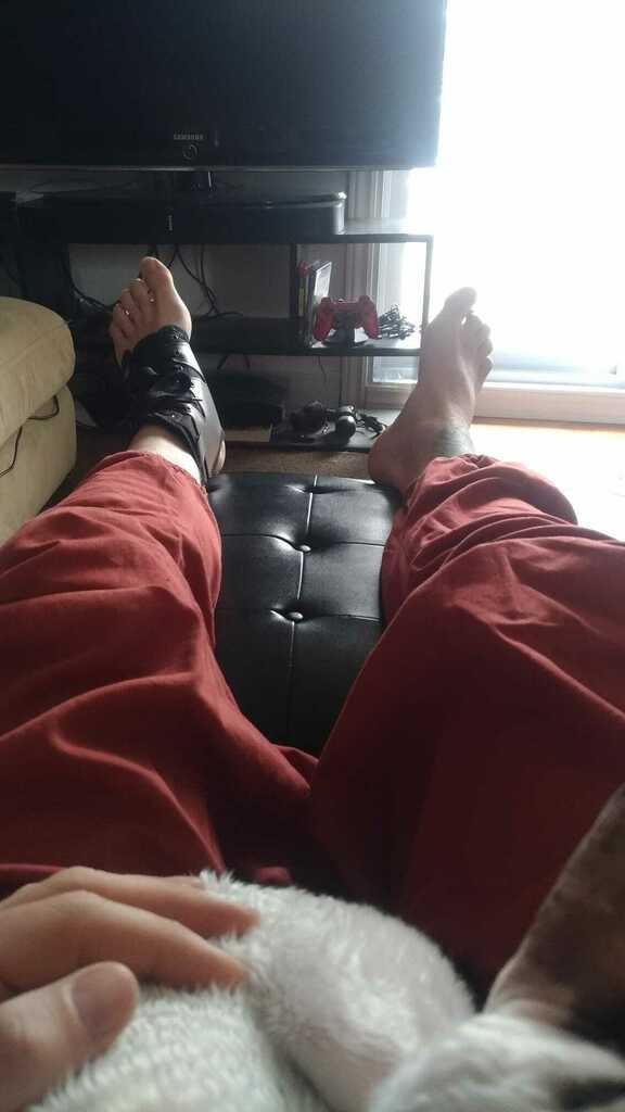 XanderStar's tweet photo. Not quite how I was expecting my week to go.... 2 weeks forced stop because I didn't looked where I stepped.....at least my babies are keeping me company https://t.co/iDTEem5J34