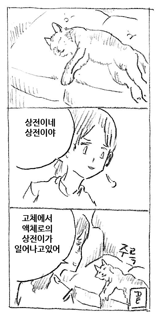 상전 
