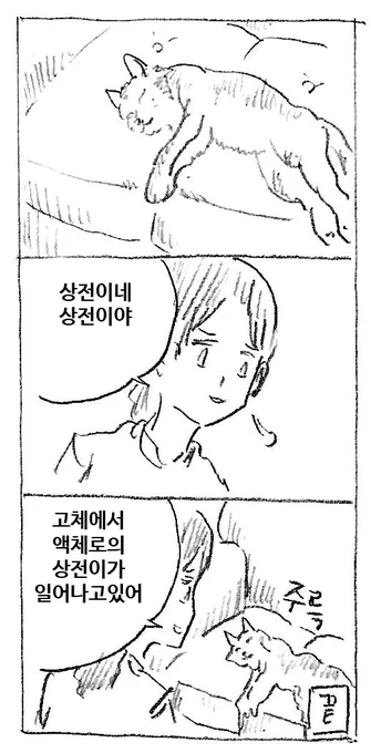 상전 