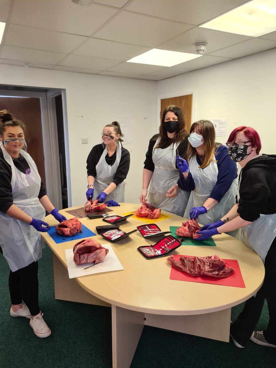 ATTFE_ALLM's tweet photo. Our Access to HE learners finished this term with a practical session that is to help them with their assignment for their Cardiac Unit on explaining the structure of the heart with their tutor 'Positive Paul and his buzzing Biology @attfe_tutorPHe #transforminglives https://t.co/kUWFyGArDG