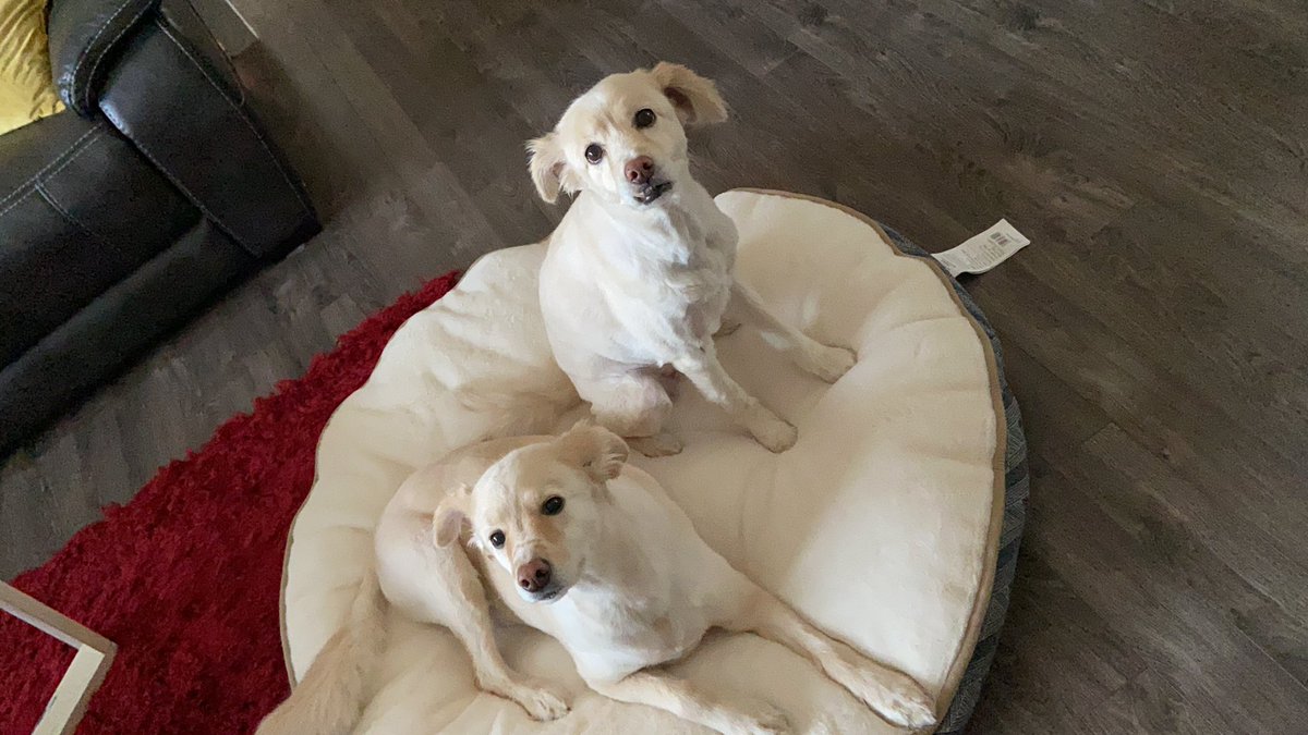 rogerapage's tweet image. Compulsory #DirtyB pic of the day