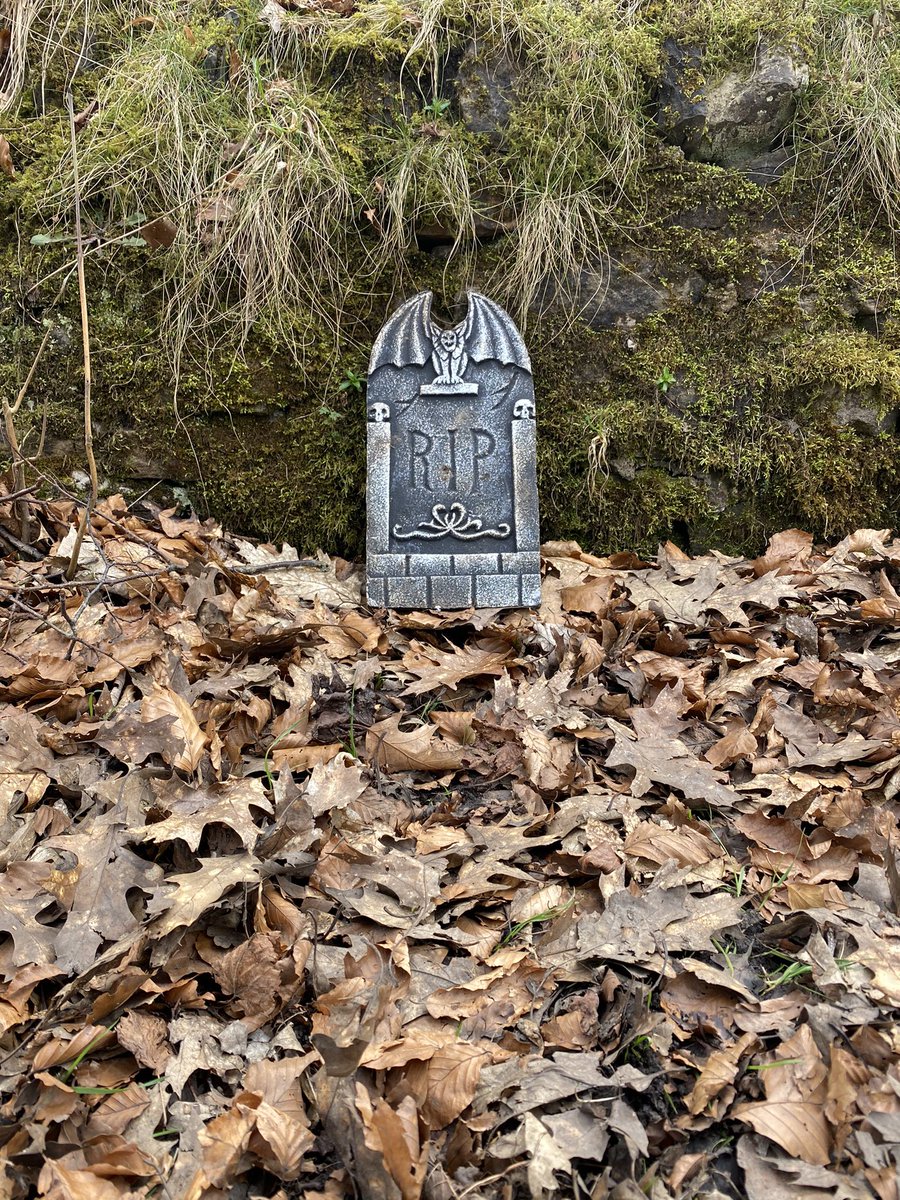 blahmushyblah's tweet photo. This photo was not taken in October.
No, I spotted this on my lunchtime walk today.
#HalloweenInApril #GloomyAprilFools https://t.co/wFycxQQxuH