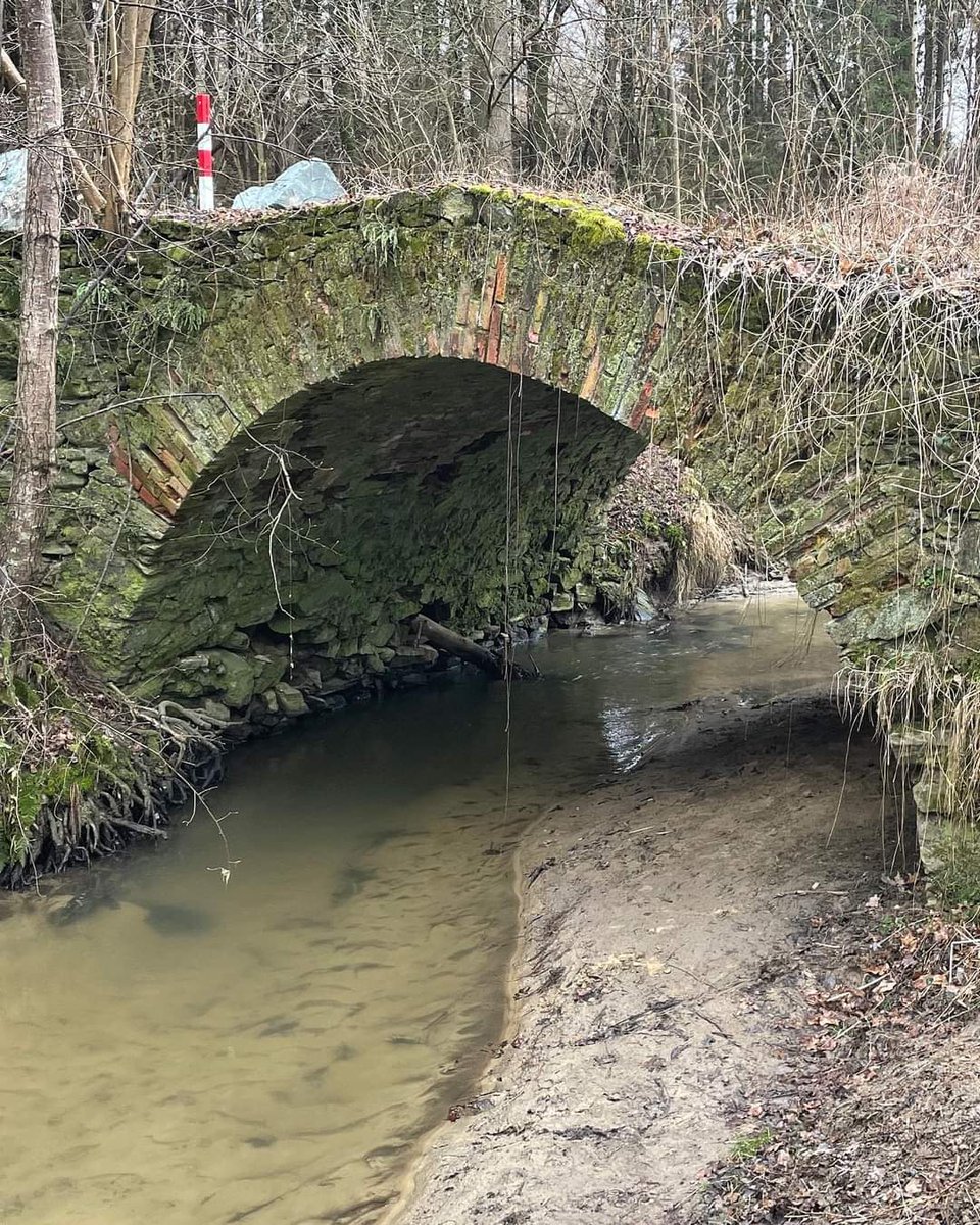 Angelika_Weber_'s tweet photo. @MyPeakChallenge Along forest paths and over an old bridge build by the Romans - in the beautiful Burgenland in Austria https://t.co/4hxNjY5mMo