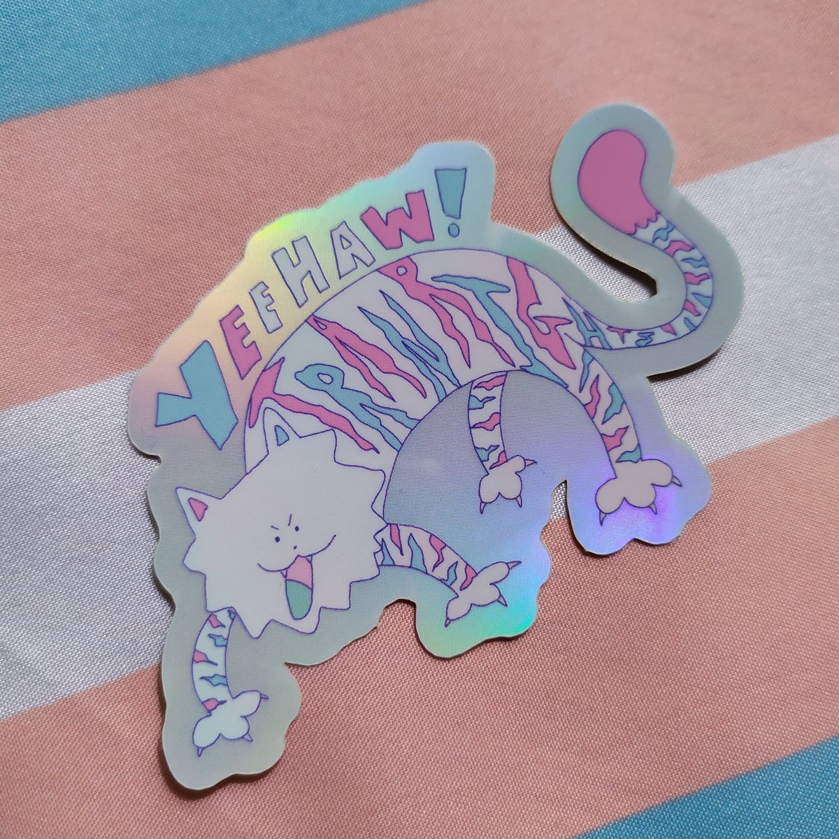 Dirtpigeon's tweet photo. Hello! 
I've mentioned before, but I'm opening up a shop to raise funds to start my transition privately! I'm planing to official open for business next week! Below are the things I plan to open with and hopefully more designs and cool stuff to follow!!! https://t.co/RyhCobrNYb