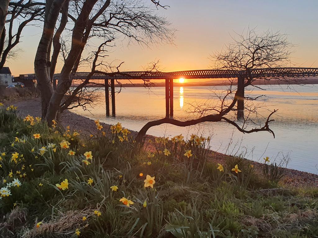 Miss_Quinn_MA's tweet photo. A break from pigeon-posts: the return of the sunset ๐posts #RossieIsland #AmberSunset #AprilSunset https://t.co/XZZ2e944tK
