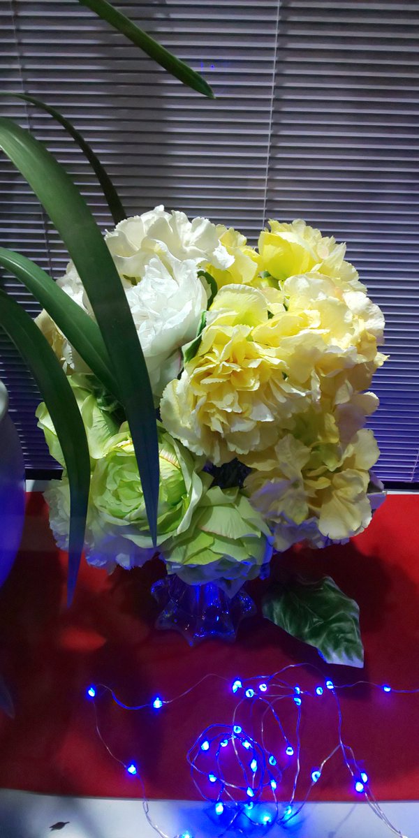 fukumame67's tweet photo. 近所の理髪💈店の店先のショーウィンドウには季節に合わせた花が飾られているので、スマホのカメラ📷性能を確認するのに便利なんです。

#shv42 
#SHARP 
#花 https://t.co/IE7mxC3y1g