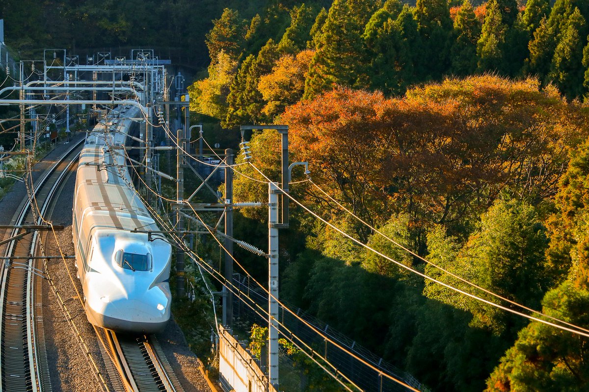 TexasCentral's tweet photo. This train will connect North Texas, the Brazos Valley and Houston in less than 90 minutes! #ItsAboutTime https://t.co/PdsT84Tu2N