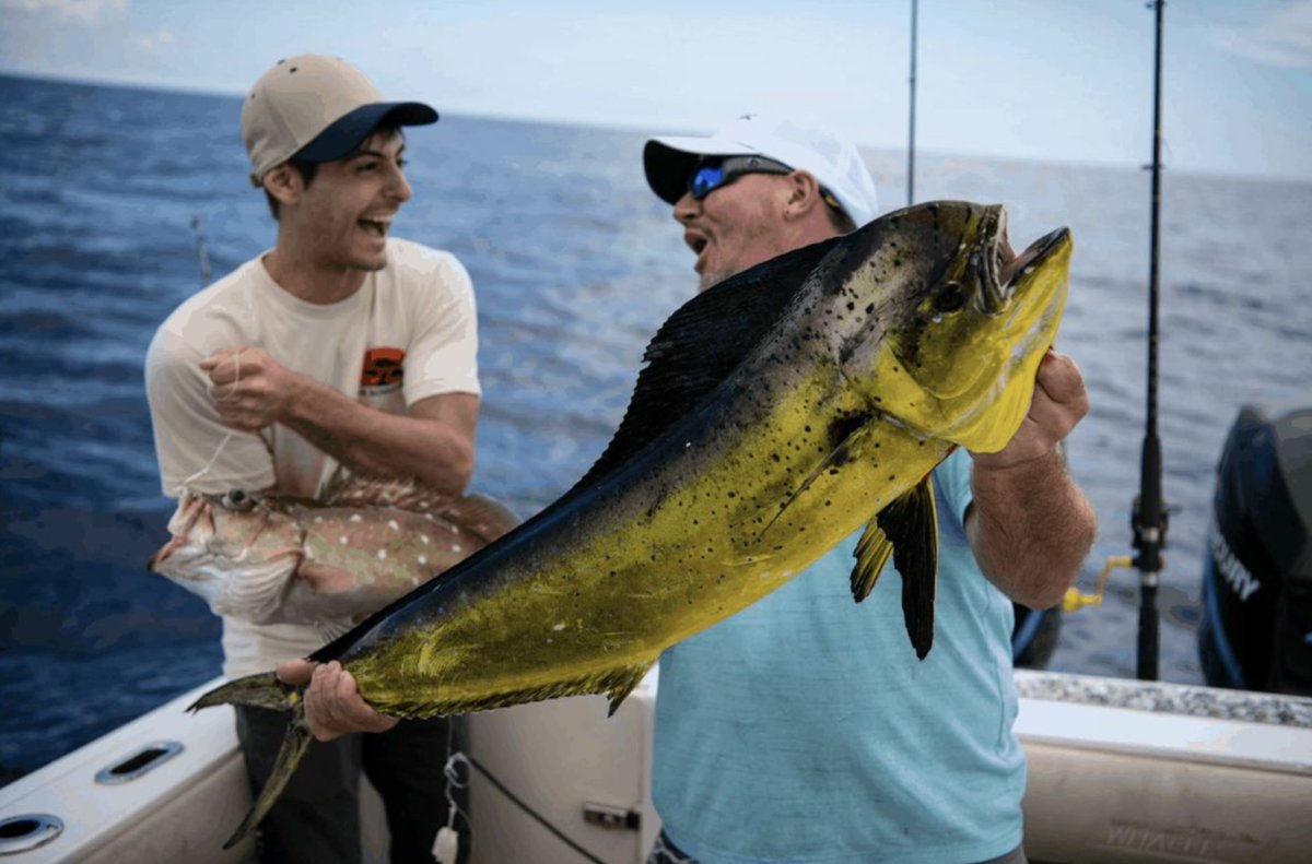 gofishanywhere's tweet photo. Quick work off the coast of Stuart, FL with Capt. Richard! A combination of deep dropping and trolling is sending this crew home with a mixed bag 🍴

 ➡️  https://t.co/rwDA0V5yna https://t.co/gWQJDZ27w7