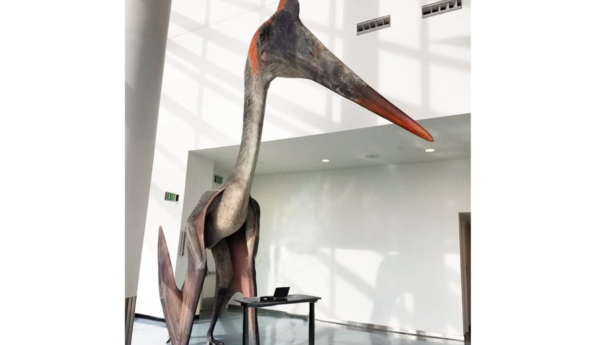 sciencemuseummn's tweet photo. the jig is up.

hi, it's me, the Quetz. with a desk. i'm the Science Museum's social media manager https://t.co/rbZ5pJ6XOl