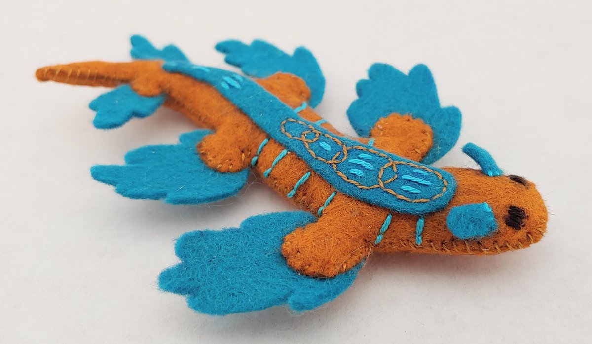 MildChutney's tweet photo. Little orange and teal nudibranch. https://t.co/Dqsx3t3NMG