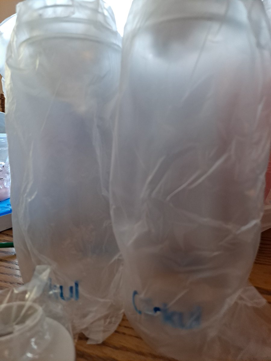 BusyDizzyMomO4's tweet photo. @DrinkCirkul I am so pissed. I ordered 2 cups March 11, they came today... But uh I didn't get the 2 STEEL cups I ordered, I got PLASTIC?! Fix. This. You don't answer Facebook or emails, are you gonna answer this??? How about BBB??? https://t.co/kkARRSKnge