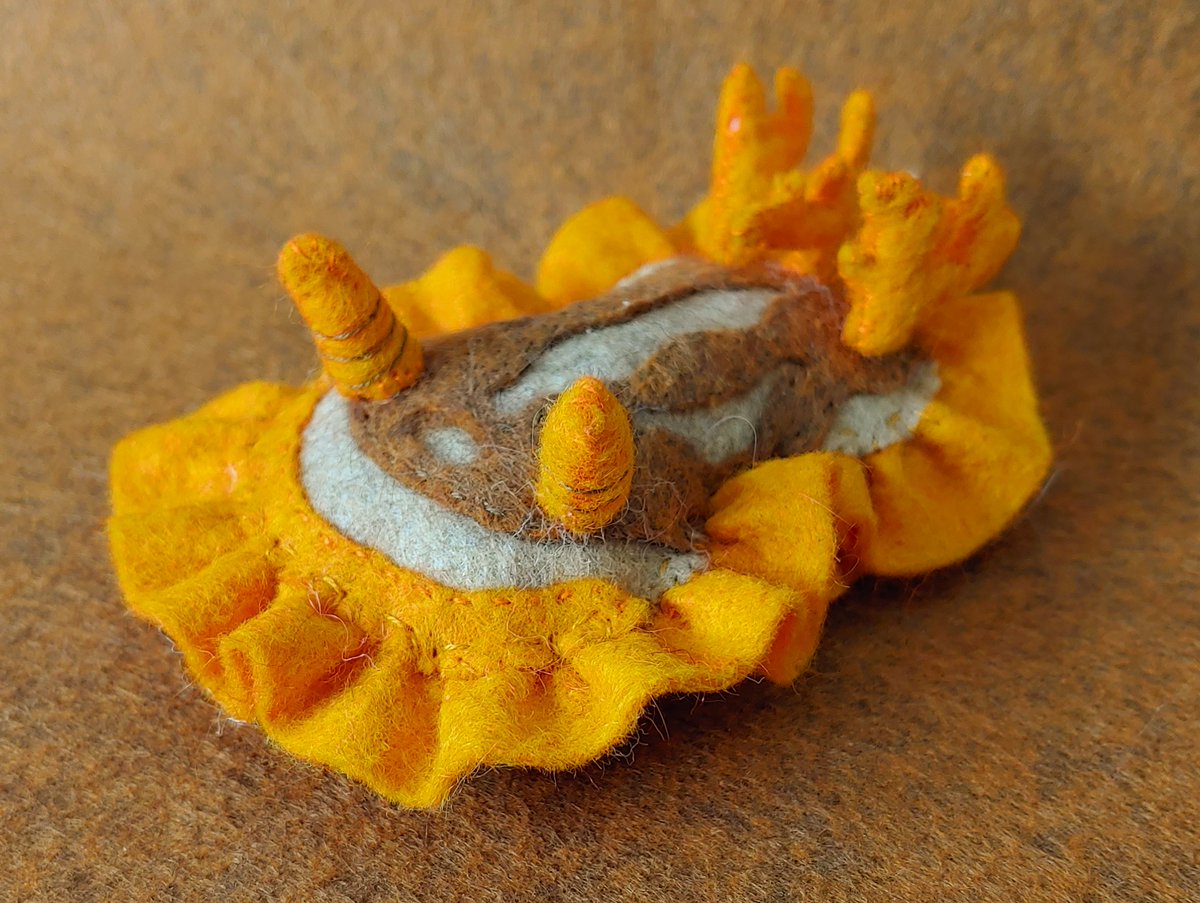 MildChutney's tweet photo. Frilly cheese puff nudibranch https://t.co/xXE33KcHHj