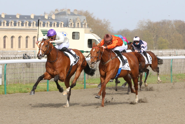 🏆 HE DID IT ! 4️⃣e victoire consécutive pour 𝗧𝗛𝗜𝗥𝗦𝗧𝗬 qui s’impose pour la première fois sous les nouvelles couleurs de ses propriétaires. Malgré ses 65kg de handicap, il s'impose en repoussant l'attaque de Scénariste sous la selle de @PCBOUDOT ! Le rêve continue ✨