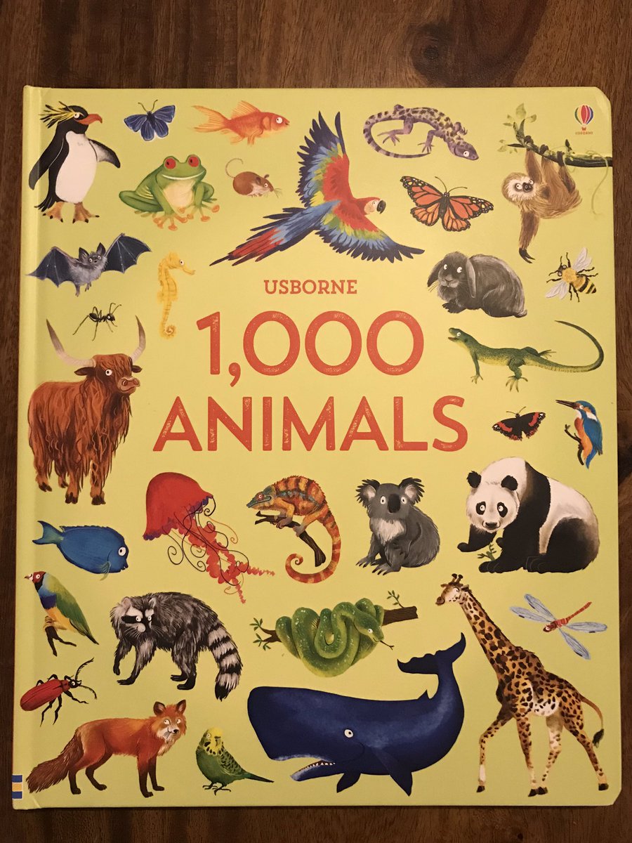 BabyQuotient's tweet photo. Finally found a book where a thousand pictures is still worth about a thousand words 🤣

#babyquotient #babyquotientbook #animals @UsborneBAH @Usborne #pictureisworthathousandwords #pictureisworth1000words https://t.co/MYAPalT0h7
