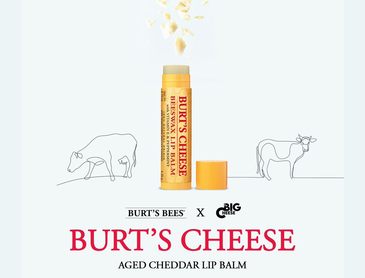 JK, #AprilFools! Unless Burt's Bees is into it, in which case, we are totally down. Slather our lips with cheddary moisture.

#aprilfoolsday #cheesejokes #burtscheese #cheese