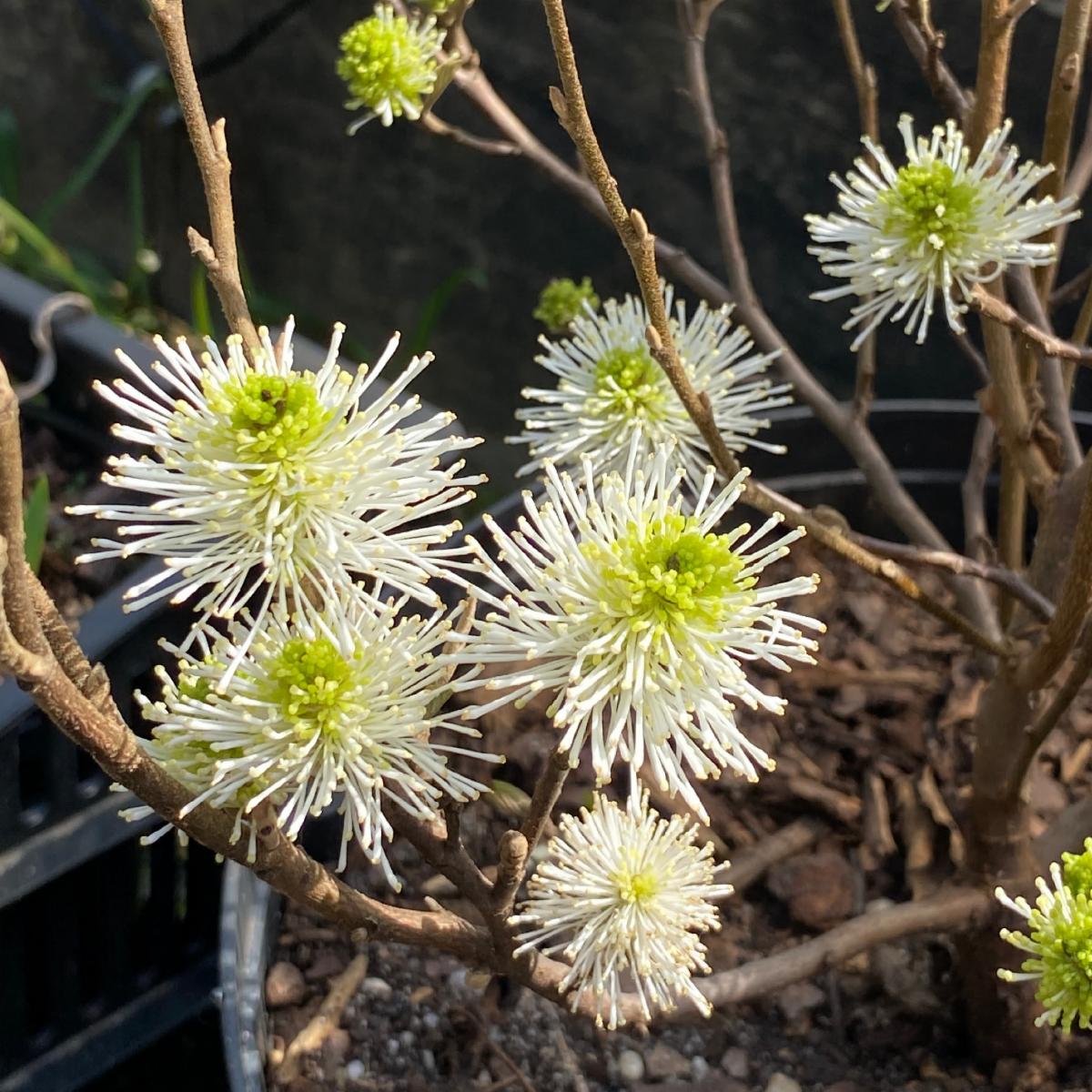 BuildUnity's tweet image. Unity's April 2021 Newsletter conta.cc/3uheOgq