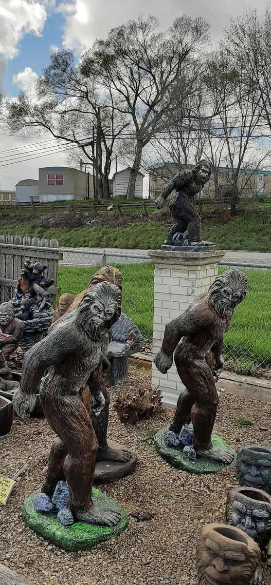 ChrisPrimordial's tweet photo. Chilly today but the bigfeet are out. #bigfoot #sasquatch https://t.co/tHw9zFKWAY