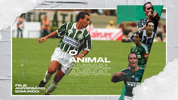 [ESPECIAL] 50 anos do Animal: relembre grandes lances marcantes de Edmundo pelo Verdão