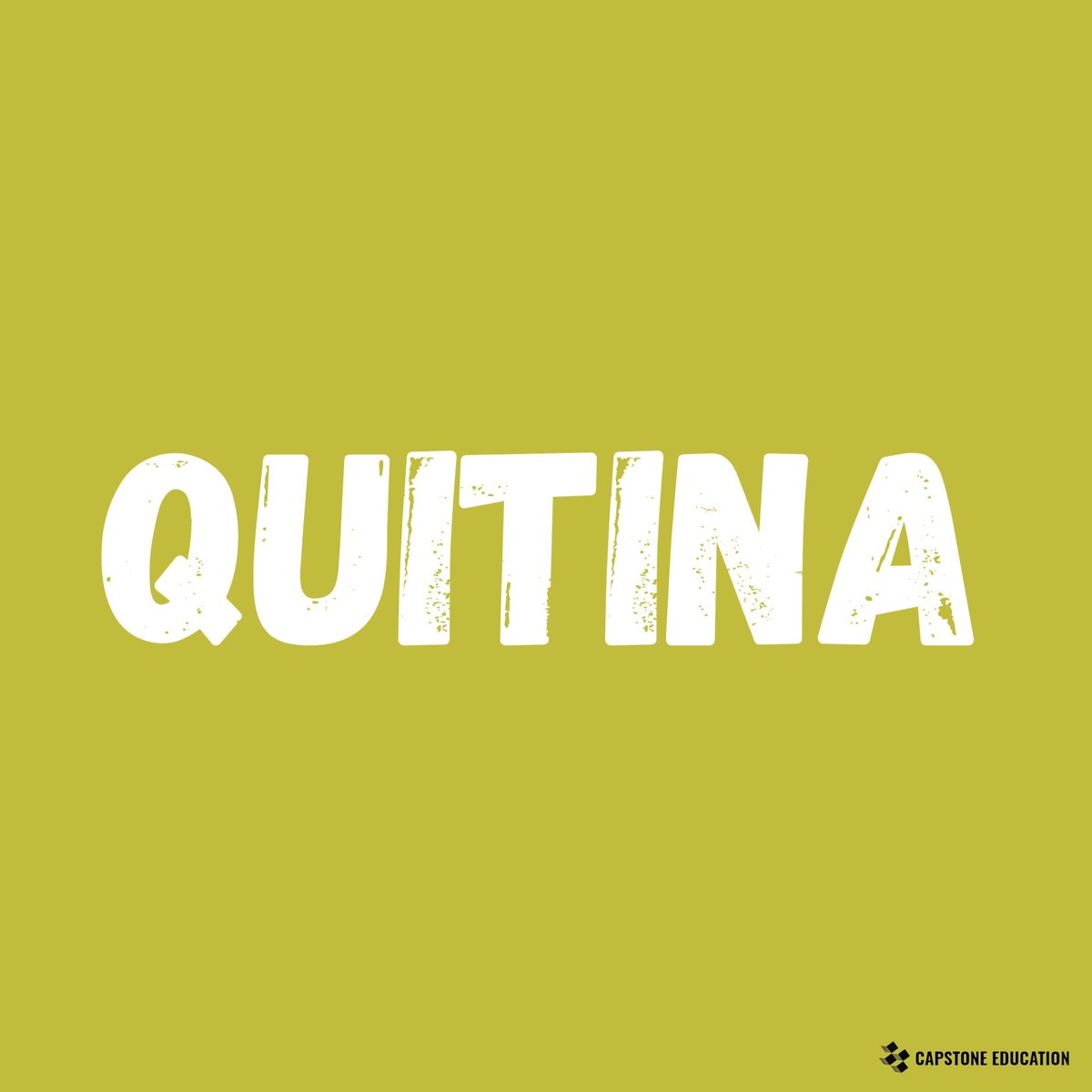 CapstoneGlobalE's tweet photo. ✨ Quitina ✨

https://t.co/ZK53uVtUUQ

#quitina #laquitina #mariposa #mariposas #insecto #insectos #naturaleza #lamariposa #lasmariposas 
#lepidoptera #lepidopteras #mariposa🦋 #mariposas🦋 https://t.co/xIah4wZndE