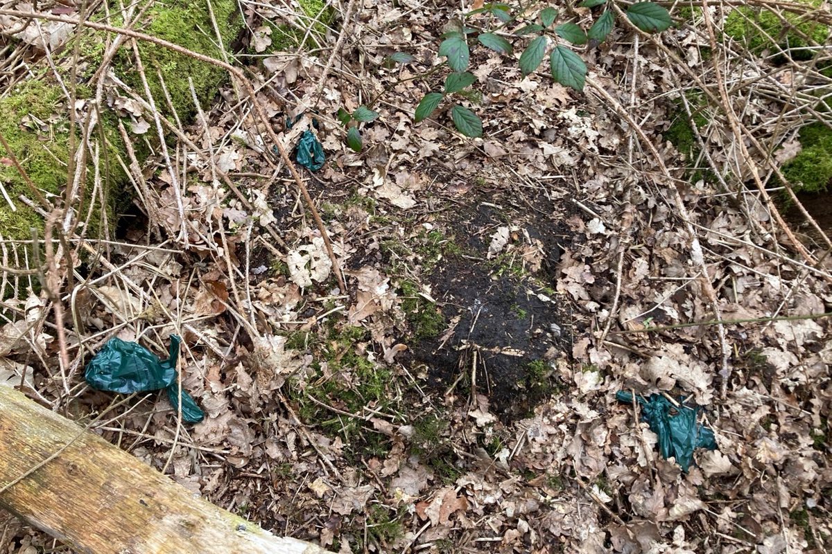 wilmslowcouk's tweet photo. Reader's Letter: Dog Pooh bags on Lindow Common https://t.co/Ujh2ZzBkfx https://t.co/XHwlKvGvcR