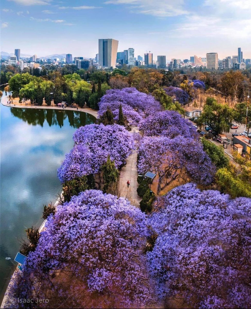 Ludvick6's tweet photo. Purple city  😉@MetroByTMobile #metrolife #purplecommunity #2k21 #FamousForCare #FamousForCareers #TeamOfExpert #livepurple #TMobile #MetrobyTmobile #WeWontStop #loyalty #family #wearemetro https://t.co/oaIA92HdFv