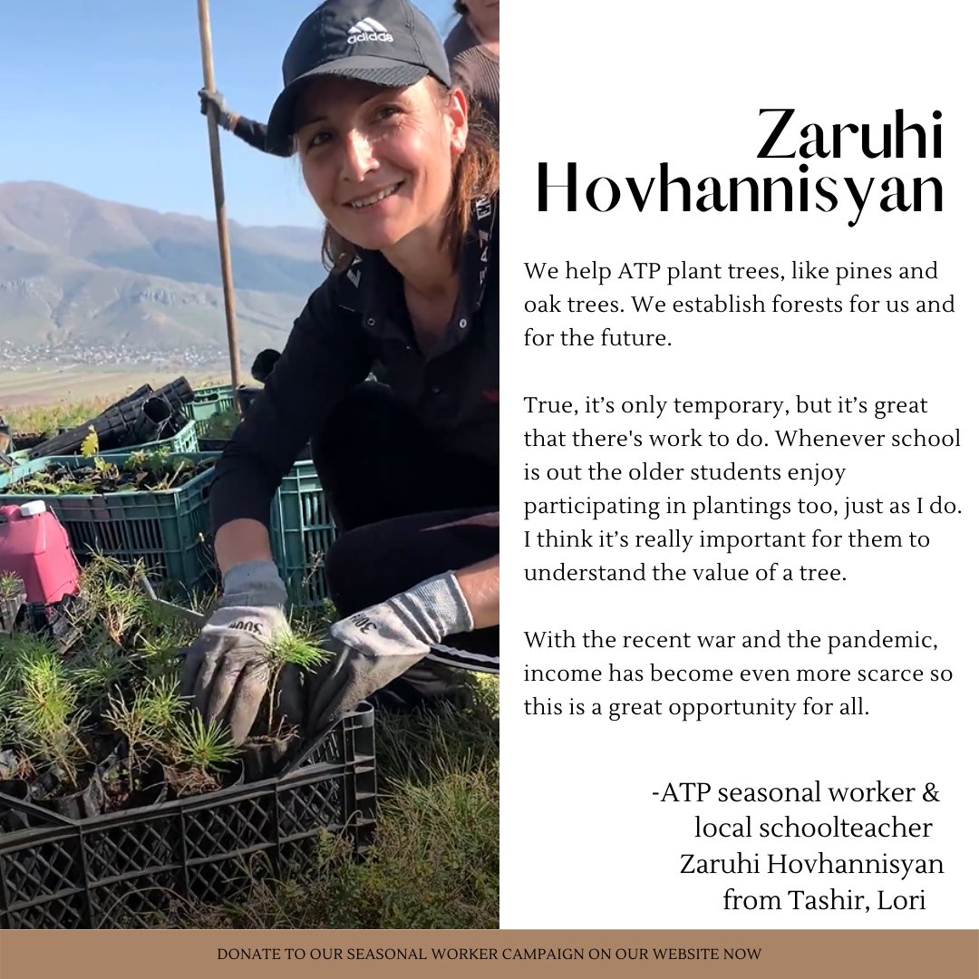 Armenia Tree Project tweet media