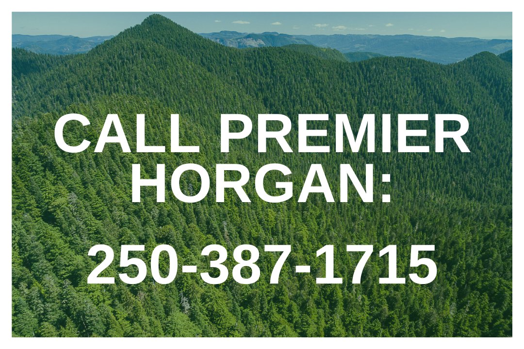 AncientForestBC's tweet photo. The court has granted Teal-Jones an injunction against the #FairyCreek forest defenders.😠 This means blockaders could be arrested for holding @jjhorgan accountable to his promise to protect #oldgrowth! 

It's within his power to stop this.
Call his office now! https://t.co/zz8YYFNmkd