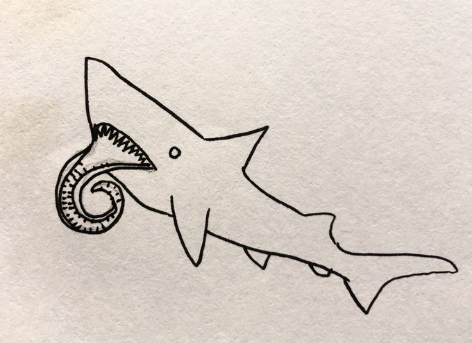 おはようございます(*'∀`*)
今日も頑張りましょ?
石炭紀 ヘリコプリオン
三畳紀には絶滅しちゃった?
#古代さめ  #スチームパンクイラスト  #ペン画 #ヘリコプリオン
#絵師さんと繋がりたい 