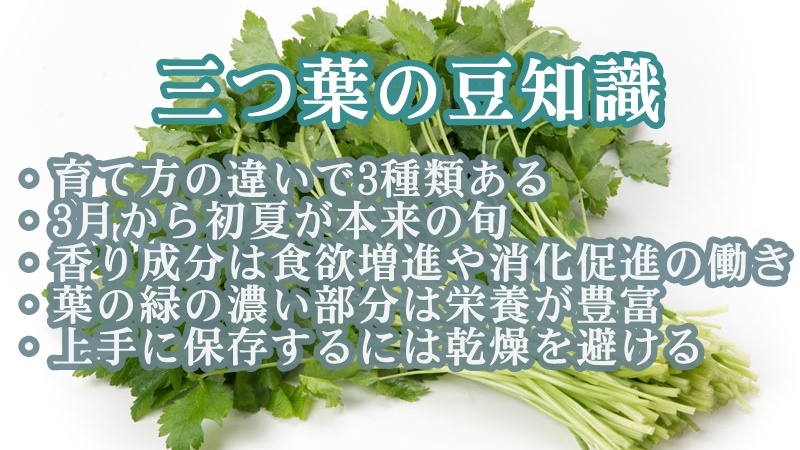 ウェザーニュース もともとは山野草の三つ葉 江戸時代に栽培が始まり 古くから春を告げる野菜として愛されてきました 水耕栽培ものは1年中出回っていますが 露地栽培ものは3月から初夏が本来の旬です 詳しい話を野菜ソムリエプロの吉田謹子さんに伺い