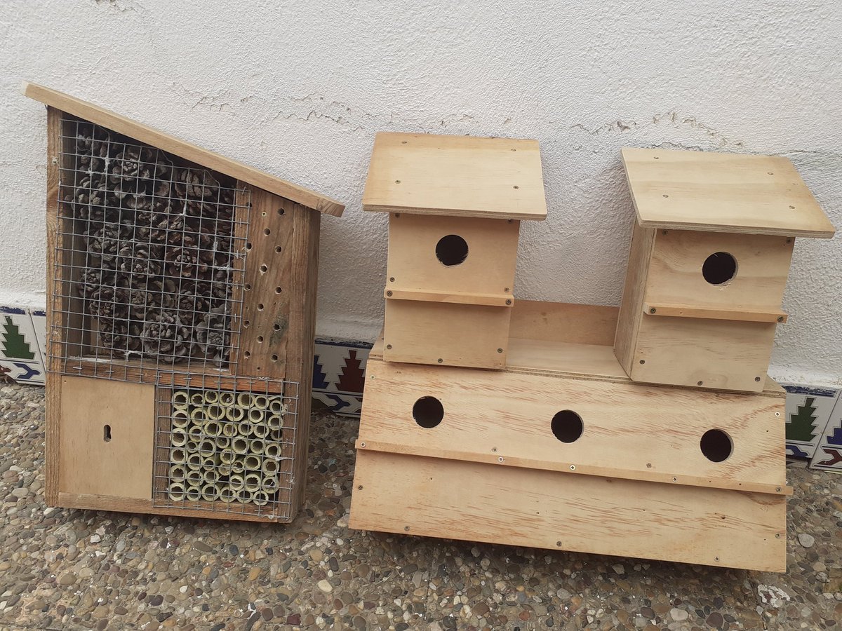 AVITURISMO1's tweet photo. Seguimos aportando ayuda a nuestros animales salvajes con nuevos hogares, caja nido para colonia de gorriones, dos cajas para carboneros y un hotel de insectos #guiaornitologico #aviturismoes #BIRDWATCHING #aves #observacionaves #ornitologia https://t.co/O86QfY0bkz