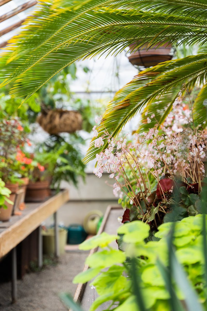 Seven Gorgeous Gardens to Explore in the Mid-Willamette Valley dlvr.it/Rwr0Bs