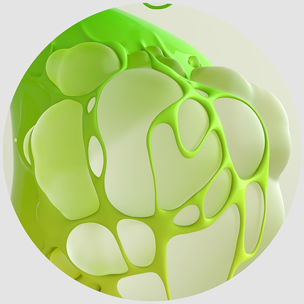 Tavo Studio tweet media