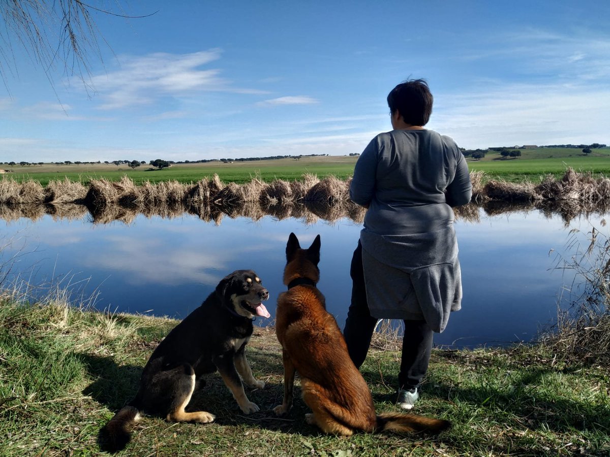 PerrosdeApoyo's tweet photo. PERROS EN RUTA 🐕‍🦺
DOMINGO A LAS 11.00H:
ACTIVIDAD: Paseo Canino a la tabla de la patata (Picón)
LOCALIZACIÓN:
https://t.co/2tWBlSPsA0
Para asistir escríbenos a:
eventos@perrosdeapoyo.es
WhatsApp: 678 53 47 97
Canal Telegram: @PerrosdeApoyoCR https://t.co/dw5JCH5uzC